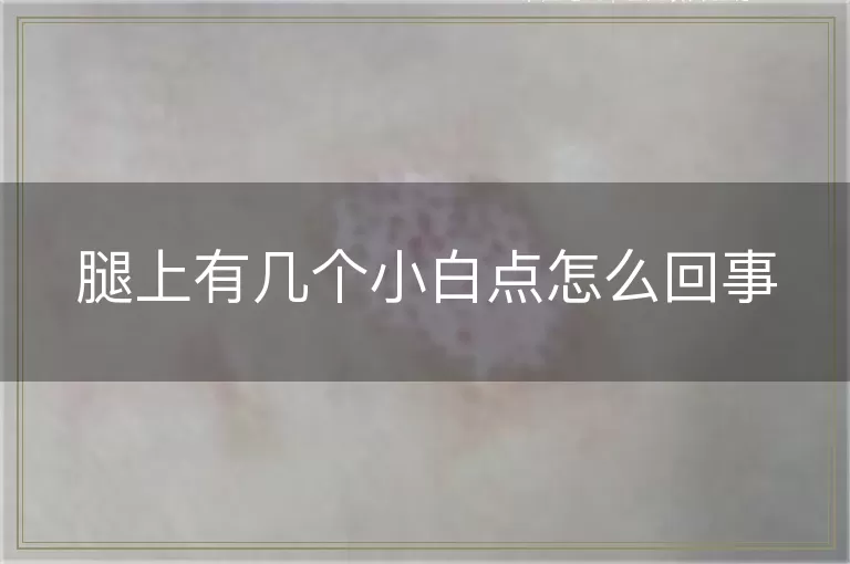 腿上有几个小白点怎么回事